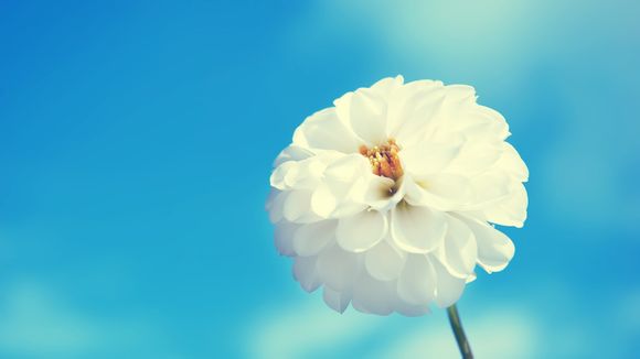 不上相的人怎么拍照