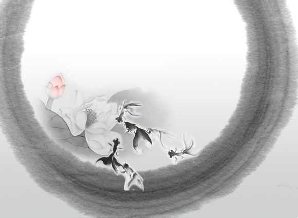 南极猎人摄影包如何/