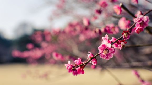 什么是云课堂教学