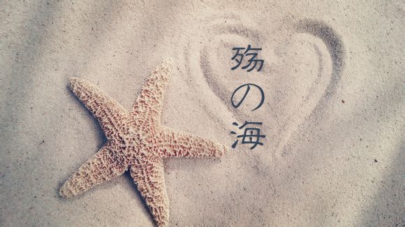 创业公司应该怎么做